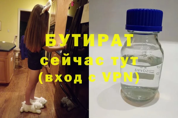 индика Балахна