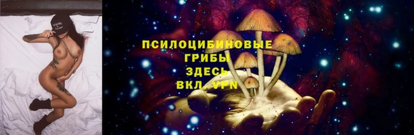 индика Балахна