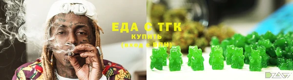 индика Балахна